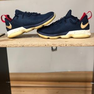 Lebron 14 Low ‘USA’